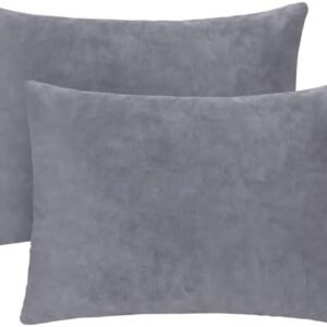 2 Pack Small Pillow, 16 X 12 Inches, Memory Foam Mini Pillow for Travel, Camping, Sleeping, Nap and Neck, Knee, Lumbar Support, Tiny Cushion for Pet, Dogs (Grey)