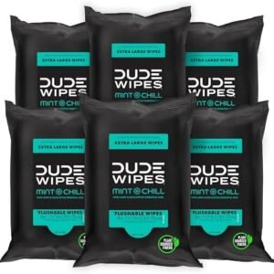 DUDE Wipes - Flushable Wipes Travel Pack - 6 Pack, 108 Count - Mint Chill Extra-Large - Vitamin-E, Aloe Vera, Eucalyptus, and Tea Tree Oils - Septic and Sewer